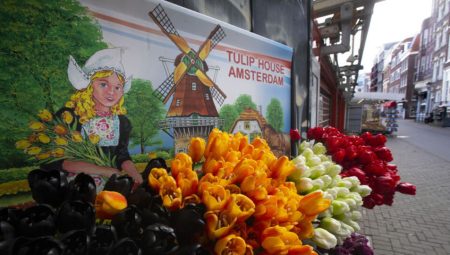 Hollanda Merkez Bankası’ndan büyüme iddiasına tarife revizyonu