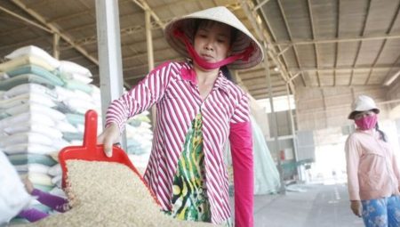 Japonya’da pirinç fiyatlarına sert yükseliş