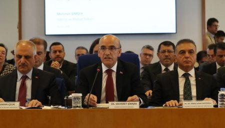 Şimşek: Programı kararlı bir halde uygulamaya devam edeceğiz