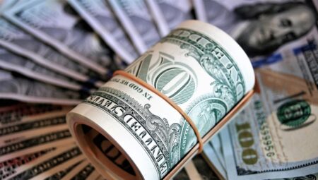 Doların çok değişkenli yılları
