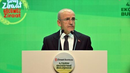 Şimşek: Dezenflasyon son bir yıldır kesintisiz devam ediyor
