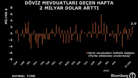 Döviz mevduatlarında 2 ayın en yüksek artışı