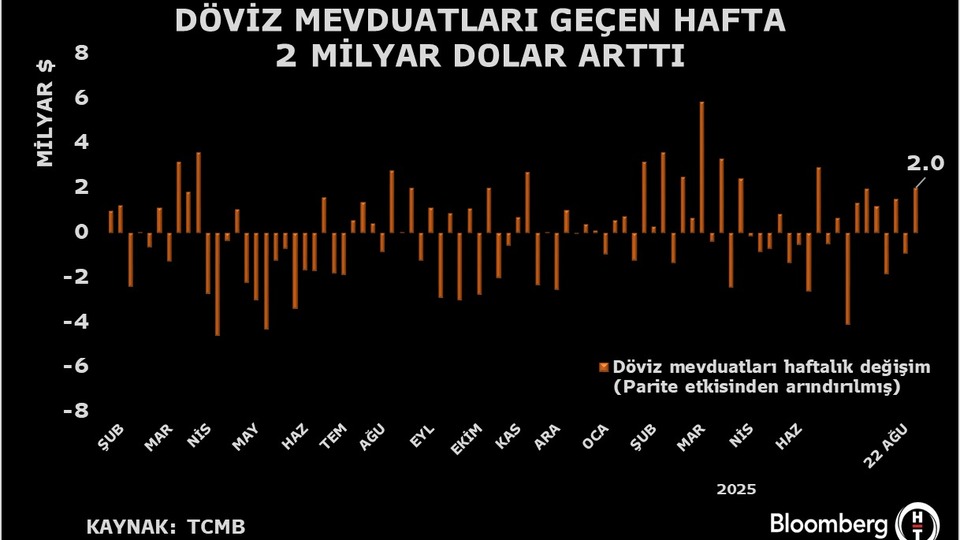 Döviz mevduatlarında 2 ayın en yüksek artışı